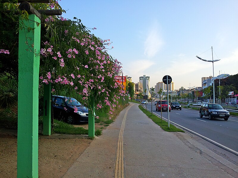 File:Av. Nove de Julho, próximo do novo Shopping Jundiaí Abril 2012. - panoramio.jpg