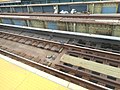 Some pigeons on the Manhattan & Queens-bound tracks. I may be one of the few people who doesn't hate pigeons