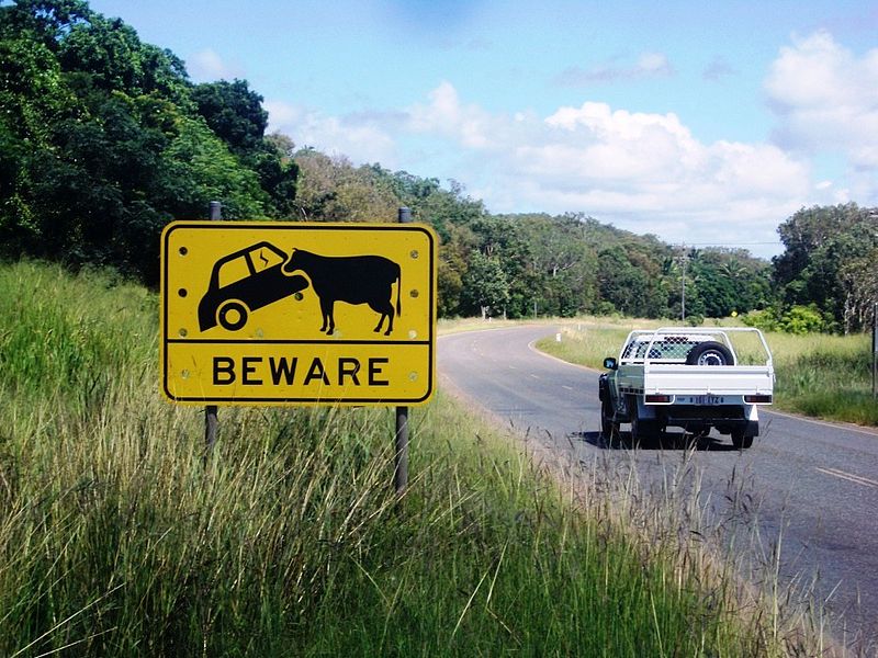 File:BEWARE sign. 2008.JPG