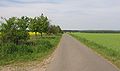 European bikeway R1 / Europaradwanderweg R 1 between Baitz and Trebitz