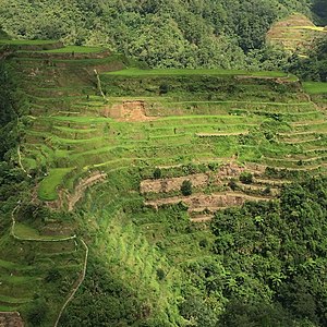 Banaue Rice Terraces View.jpg