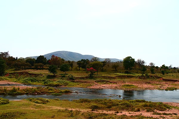 Image: Bank of sanjay river