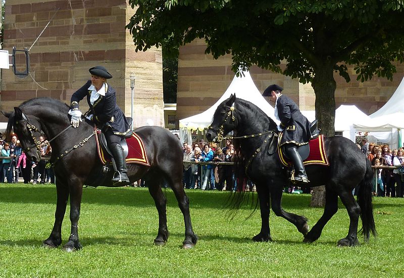 File:Bibi Pferdemarkt Friese Lob.jpg