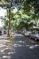 Laburnum Road: An upmarket neighbourhood in South Bombay. Also the site of Mani Bhavan, which was Mahatma Gandhi's residence in Mumbai.
