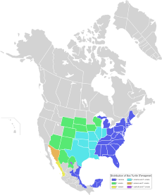 Terrapene ornata - zelená T. ornata a T. carolina - bledě modrá T. ornata a T. nelsoni - oranžová T. ornata a T. coahuila - fialová T. carolina - tmavomodrá T. nelsoni - žlutá