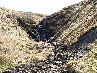 The Brown Gill