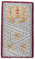 Chefinspektor (Fgrp 6) Chief Inspector