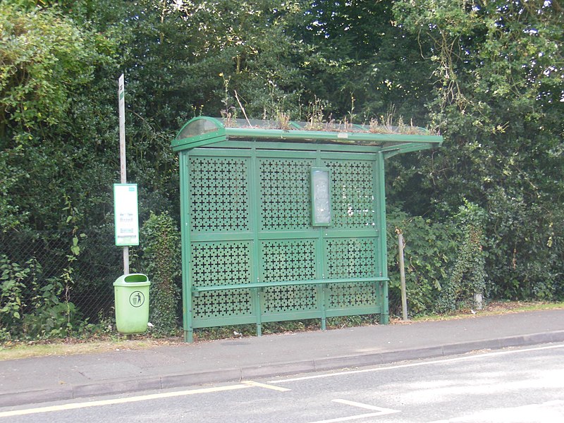 File:Bus shelter developing a green roof - geograph.org.uk - 3129064.jpg