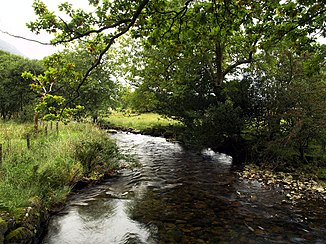 Der Buttermere Dubs