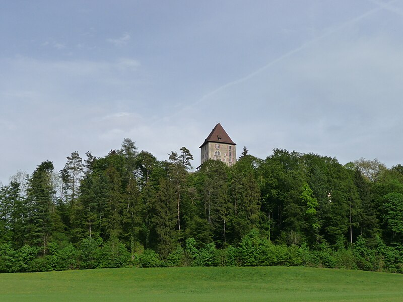 File:Castle Liebegg wide.JPG