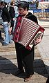 An accordionist