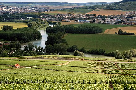 Landscape of hills in Champagne.