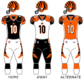 Thumbnail for 2007 Cincinnati Bengals season