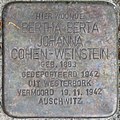 image=https://commons.wikimedia.org/wiki/File:Cohen-Weinstein,_Bertha_Berta_Johanna_-_H.W._Mesdagstraat_46A.jpg