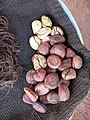 Cola nuts in Northern Ghana