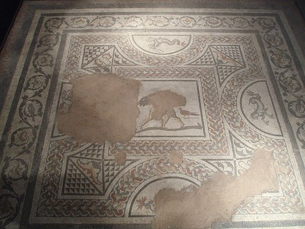 Roman Mosaic found at the Middleborough House, Colchester. Now in the Colchester Castle Museum.