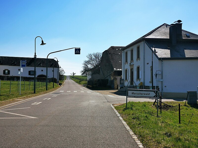 File:Consdorf, Colbette (103).jpg