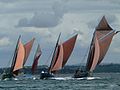 Les quatre coquilliers naviguant dans la rade de Brest.