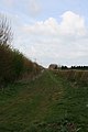 Cow lane from the end - geograph.org.uk - 1264967.jpg