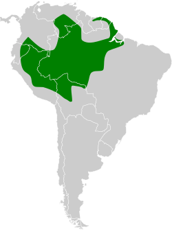 Distribución geográfica del curutié jaspeado.