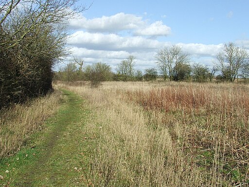 Curved Footpath - geograph.org.uk - 3852232