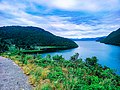 Danau Paniai. Danau Paniai adalah danau yang berada di kabupaten Paniai. Danau ini memiliki banyak keanekaragaman hayati yang sangat banyak. Salah satu spesies endemiknya adalah udang selingkuh.jpg