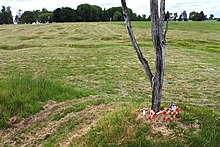 Royal Newfoundland Regiment - Wikipedia