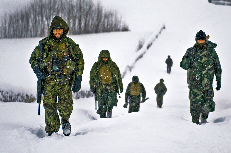 File:Defense.gov News Photo 110212-A-1782C-002 - U.S. and Afghan soldiers move through Kherwar district to prevent Taliban freedom of movement in Logar province Afghanistan on Feb.12 2011. The.jpg