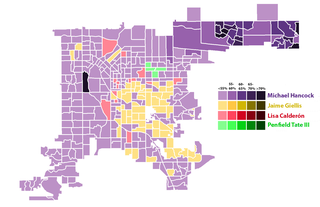 Denver Mayoral Election First Round by Precinct Fixed.png