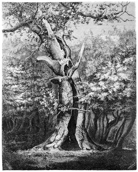 File:Die Gartenlaube (1880) b 424.jpg
