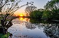 * Nomination Lake and nature reserve “Schwafheimer Meer” in Duisburg during sunset --Carschten 08:58, 2 May 2020 (UTC) * Promotion  Support Nice and good quality. --ArildV 09:01, 2 May 2020 (UTC)