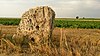 The Long Stone of Einselthum