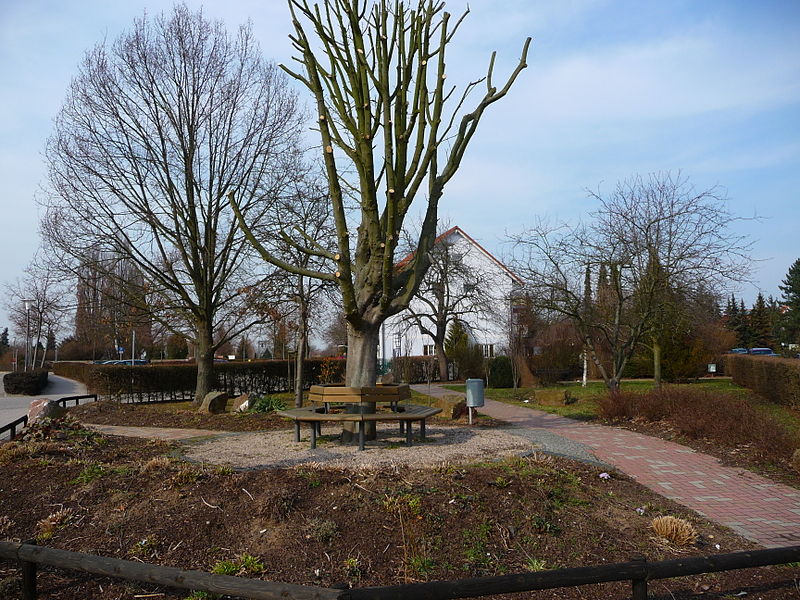 File:Eppelheim Jakob-Neu-Garten am Ende des Winters.JPG