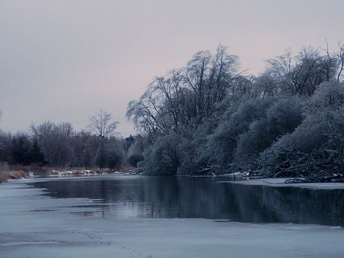 Eramosa River after 2013 Ice Storm