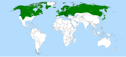 Eriophorum angustifolium distribution.svg