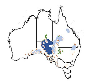 Extant and historical distribution of the plains rat across Australia.jpg