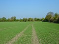 Thumbnail for File:Farmland, West Challow - geograph.org.uk - 2678458.jpg