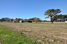 An old house surrounded by pine forests and fields