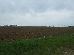 Field near Mast Farm - geograph.org.uk - 5391484.jpg