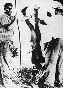 Atrocities against the Cinta Larga tribe in Brazil were exposed in the Figueiredo report of 1967. After shooting the head off her baby, the killers cut the mother in half. Survival Figueiredo report, commissioned by Brazil's Minister of the Interior in 1967.jpg