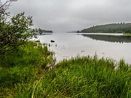 Vuontisjärvi från norr en tidig julimorgon 2014
