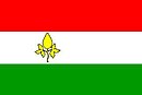 Flagg av Peize