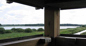 Vista dalla torre di osservazione degli uccelli a Pfefferfließ