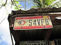 Florida license plate with Florida State University lettering