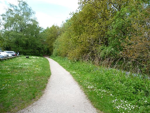 Footpath alongside the woodland, Shakerley Mere - geograph.org.uk - 2945712