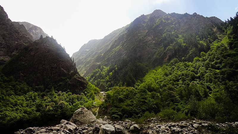 File:Forest in himalayas.jpg