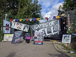 <span class="mw-page-title-main">Camp Beagle</span> Animal rights protest camp in England