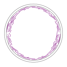 The Z-ring forms from smaller subunits of FtsZ filaments. These filaments may pull on each other and tighten to divide the cell. FtsZ Filaments.svg