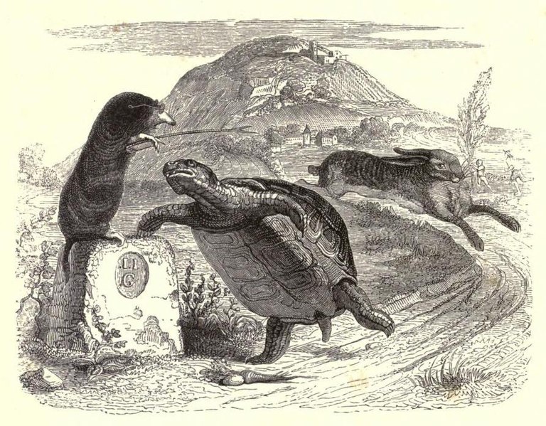 File:Grandville tortoise.jpg