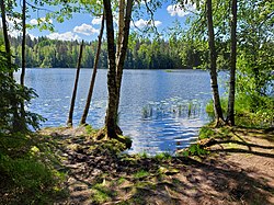 Järvi kesäkuussa 2021 ja View of the lake at june 2021